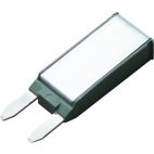 CIR BR TYPE II 12V