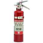 Shield Fire Protection Fire Extinguisher - Single Use
