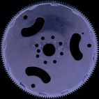 Automatic Transmission Flexplate