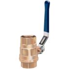 Ball Valve - Ag 2 Way
