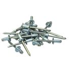 Rivets Blind Rivet All Steel