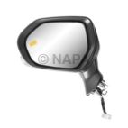 Door Mirror