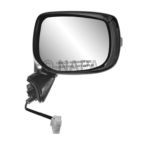 Door Mirror