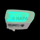 Tail Light Lens