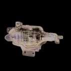 Turn Signal / Parking Light Assembly