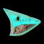 Tail Light Lens