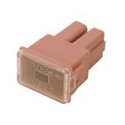 Fuse - Automotive PAL Female Type Terminal 30 Amp