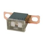 Battery Fuse