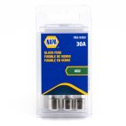 NAPA Fuse - 30 A, AGU Glass, Male