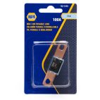 NAPA Fuse - 100 A, Cartridge, Female
