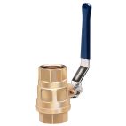 Ball Valve - Ag 2 Way