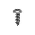 Screw