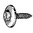 Screw