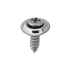 Screw