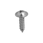 Screw