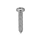 Screw