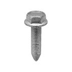 Screw
