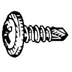 Screw