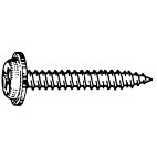 Screw