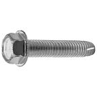Screw