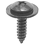 Screw