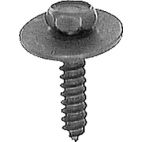 Screw