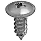 Screw