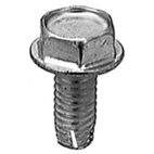 Screw