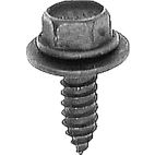 Screw