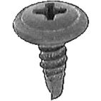 Screw