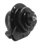 Engine Cooling Fan Motor