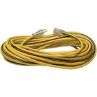 Extension Cord 100'