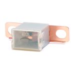 NAPA Fuse - 120 A, PAL, Female