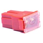 NAPA Fuse - 50 A, PAL, Female