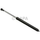 Hood / Deck Lid Lift Support Set