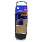 NAPA Trailer Hitch Lock - Brass, 2 in