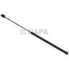 Hood / Deck Lid Lift Support Set