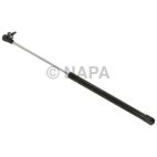Back Glass Lift Support