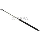 Hood / Deck Lid Lift Support Set