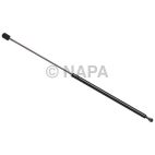 Back Glass Lift Support