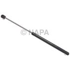 Back Glass Lift Support
