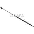 Back Glass Lift Support