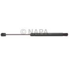 Hood / Deck Lid Lift Support Set