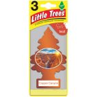 Air Freshener / Hanging Paper Style Copper Canyon