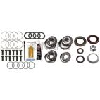 Axle Differential Bearing and Seal Kit