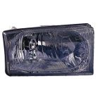 Headlight Assembly