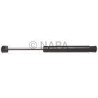 Back Glass Lift Support