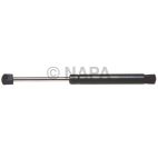 Hood / Deck Lid Lift Support Set