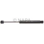 Hood / Deck Lid Lift Support Set