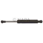 Hood / Deck Lid Lift Support Set
